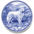 Kuvasz